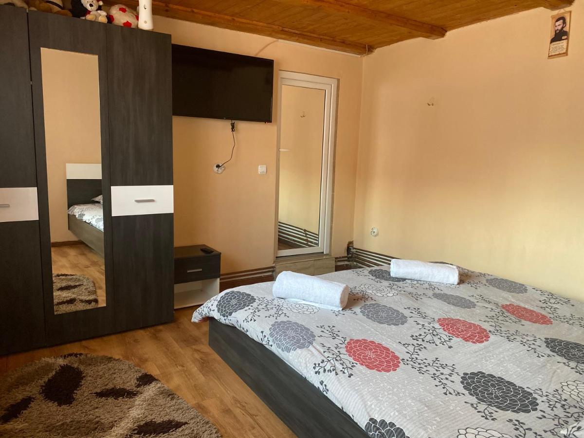 Casa Blendea Daniela Hotel Cîrţişoara Екстериор снимка