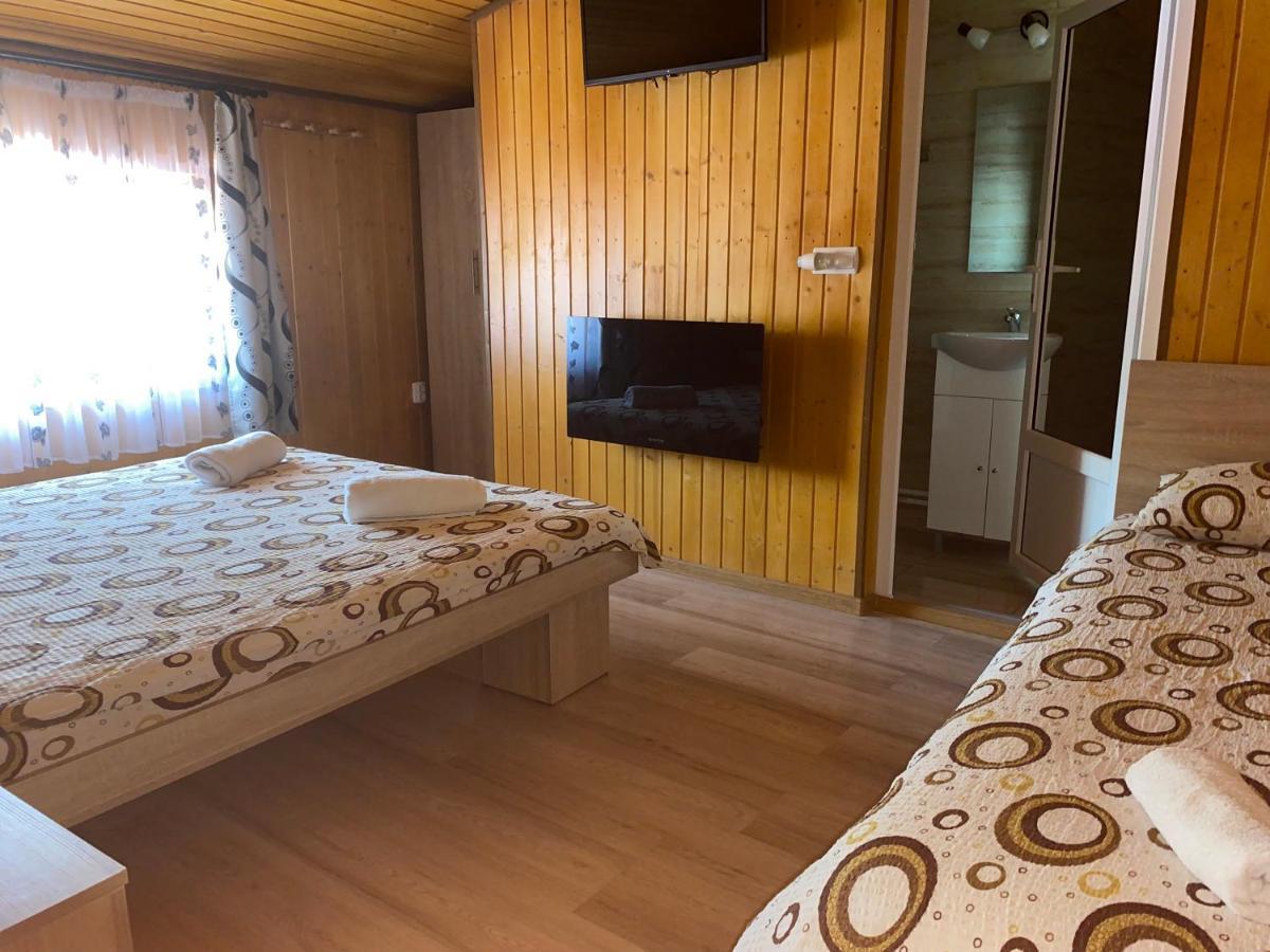 Casa Blendea Daniela Hotel Cîrţişoara Екстериор снимка