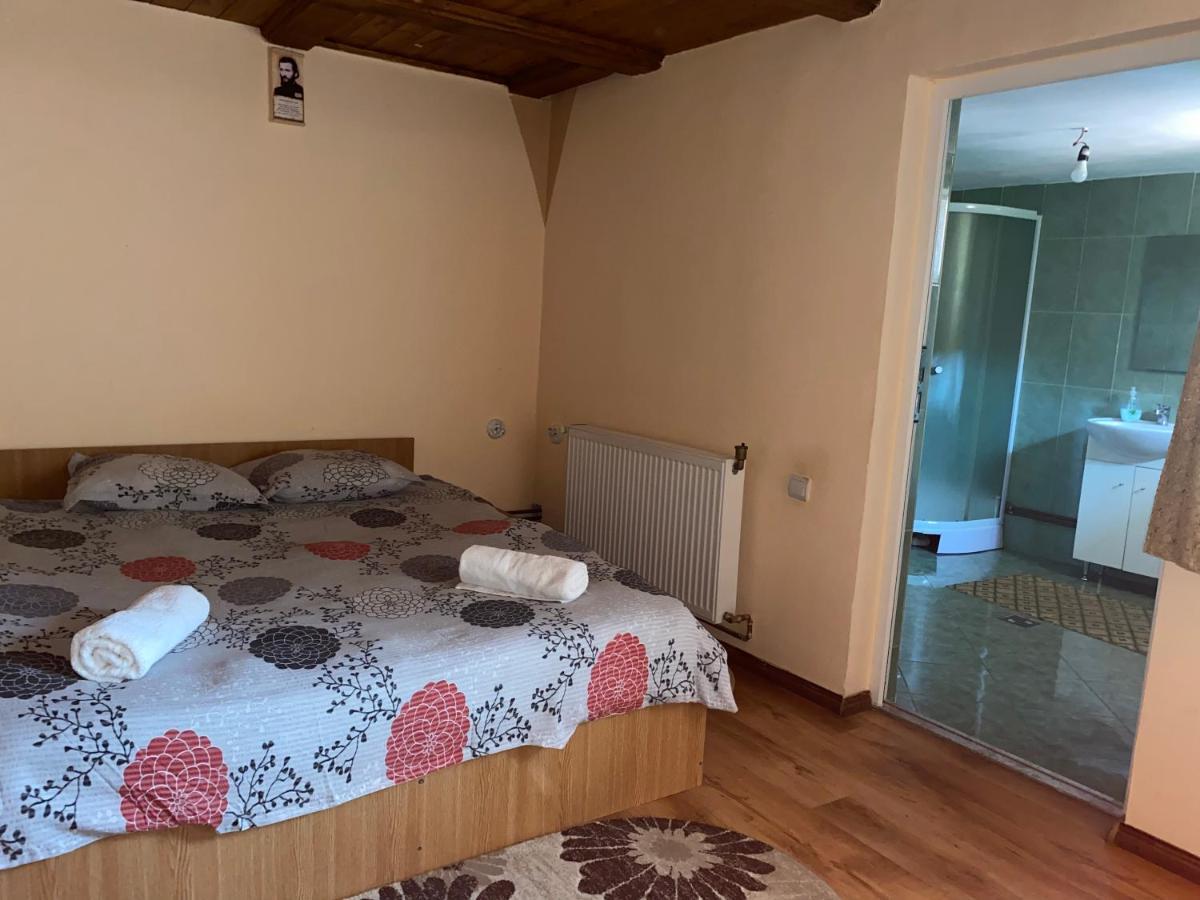 Casa Blendea Daniela Hotel Cîrţişoara Екстериор снимка