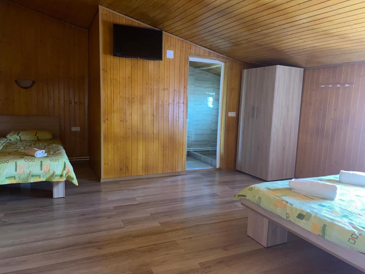Casa Blendea Daniela Hotel Cîrţişoara Екстериор снимка