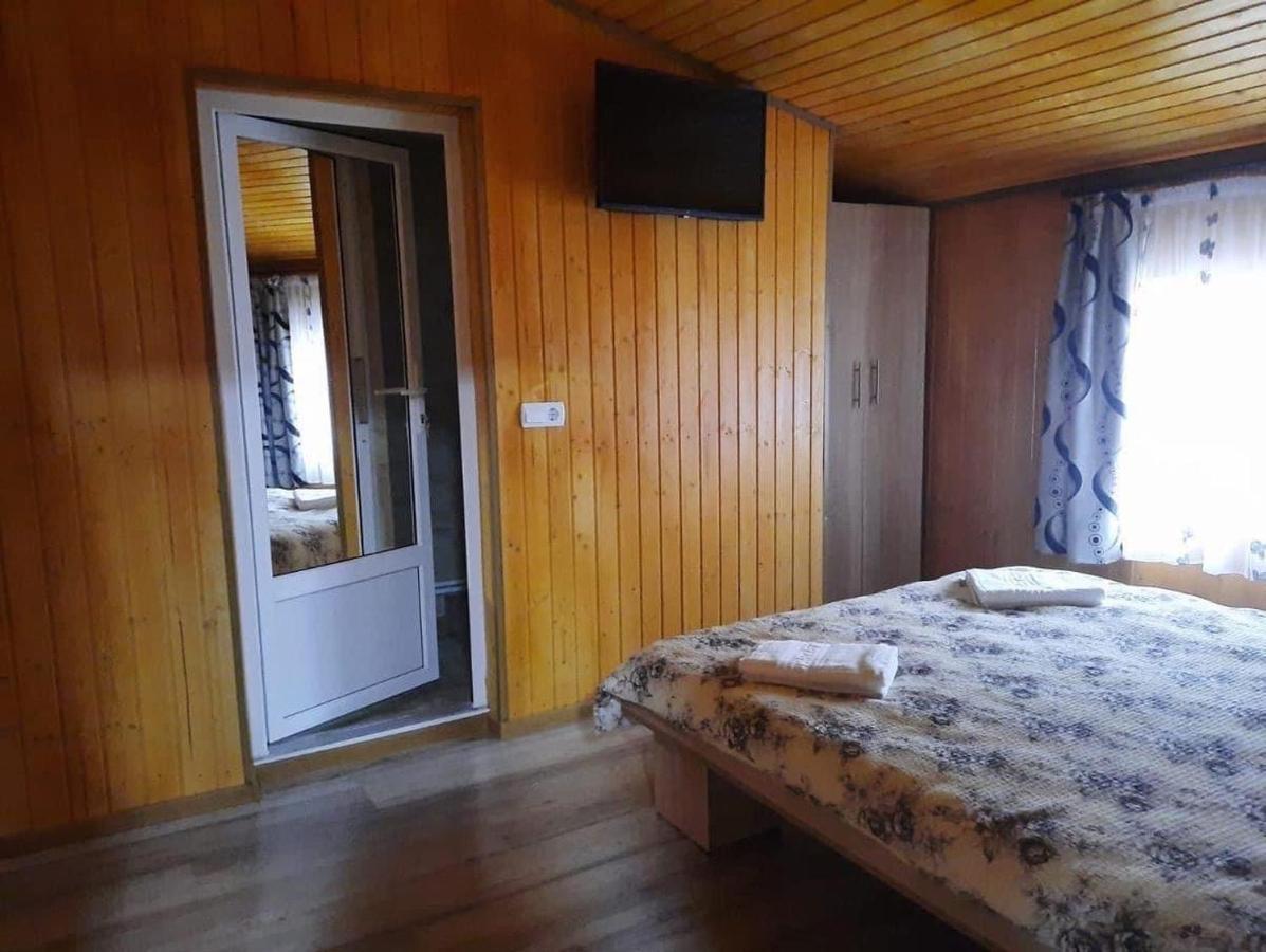 Casa Blendea Daniela Hotel Cîrţişoara Екстериор снимка