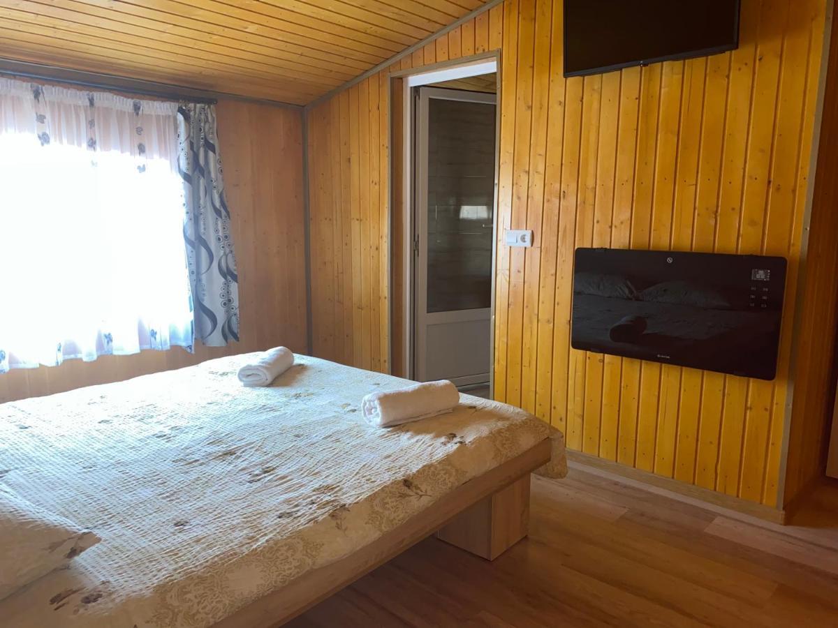 Casa Blendea Daniela Hotel Cîrţişoara Екстериор снимка