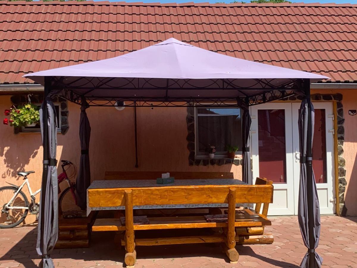 Casa Blendea Daniela Hotel Cîrţişoara Екстериор снимка