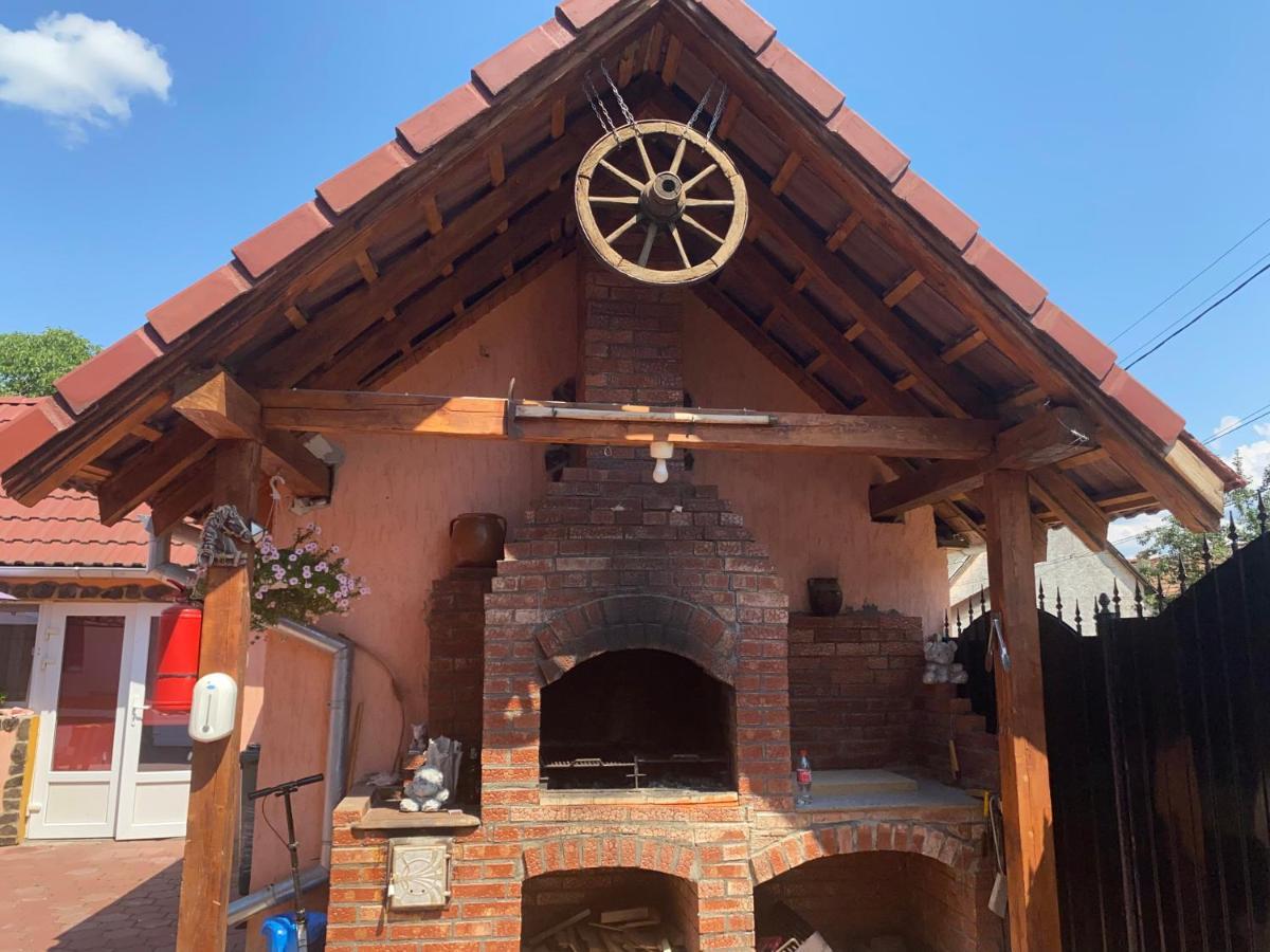 Casa Blendea Daniela Hotel Cîrţişoara Екстериор снимка