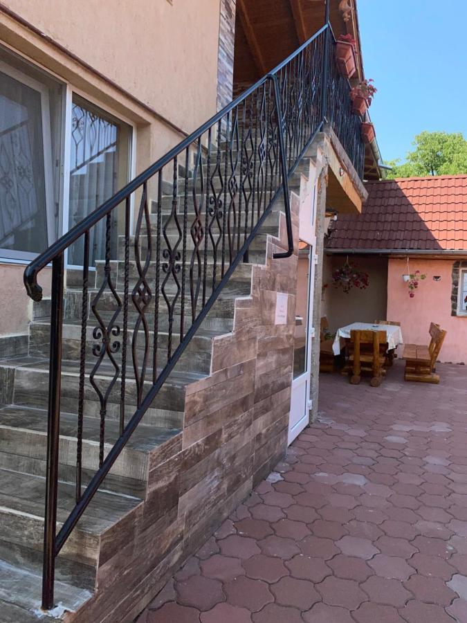 Casa Blendea Daniela Hotel Cîrţişoara Екстериор снимка