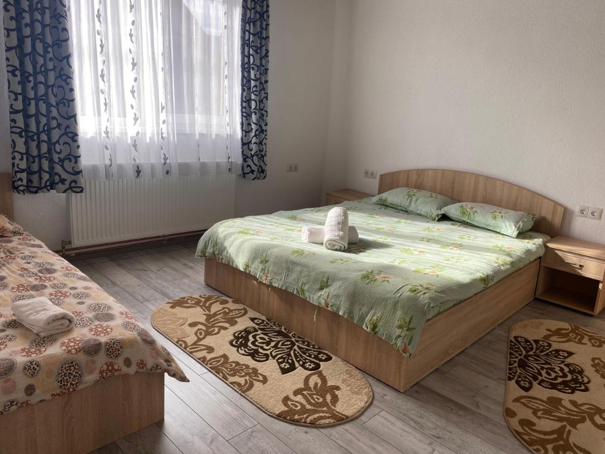 Casa Blendea Daniela Hotel Cîrţişoara Екстериор снимка