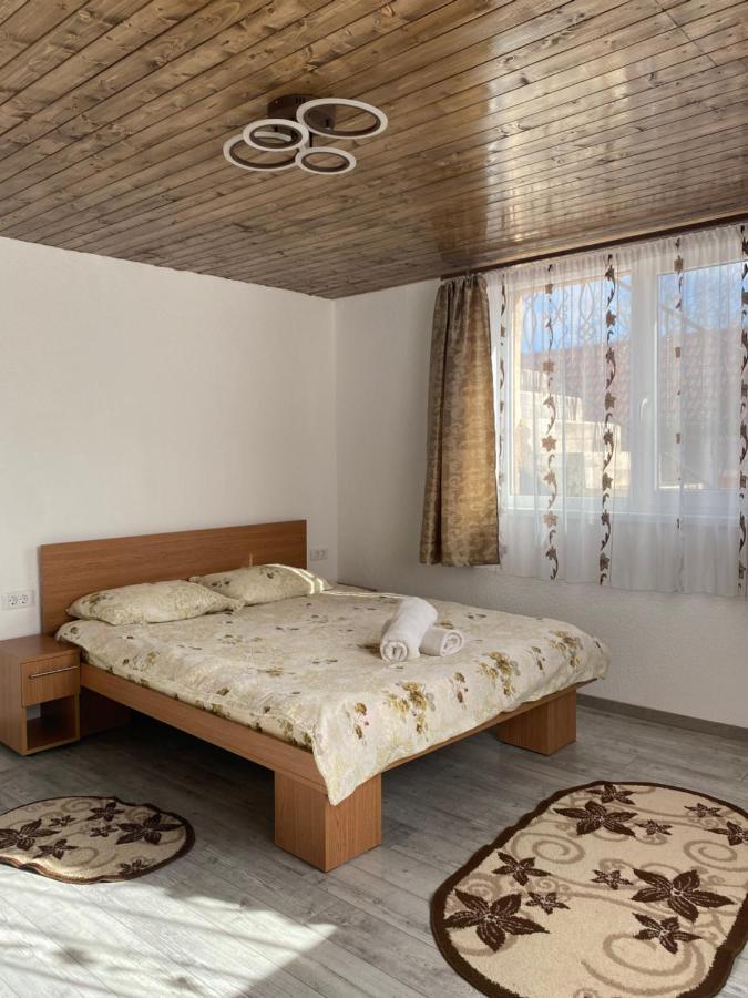 Casa Blendea Daniela Hotel Cîrţişoara Екстериор снимка